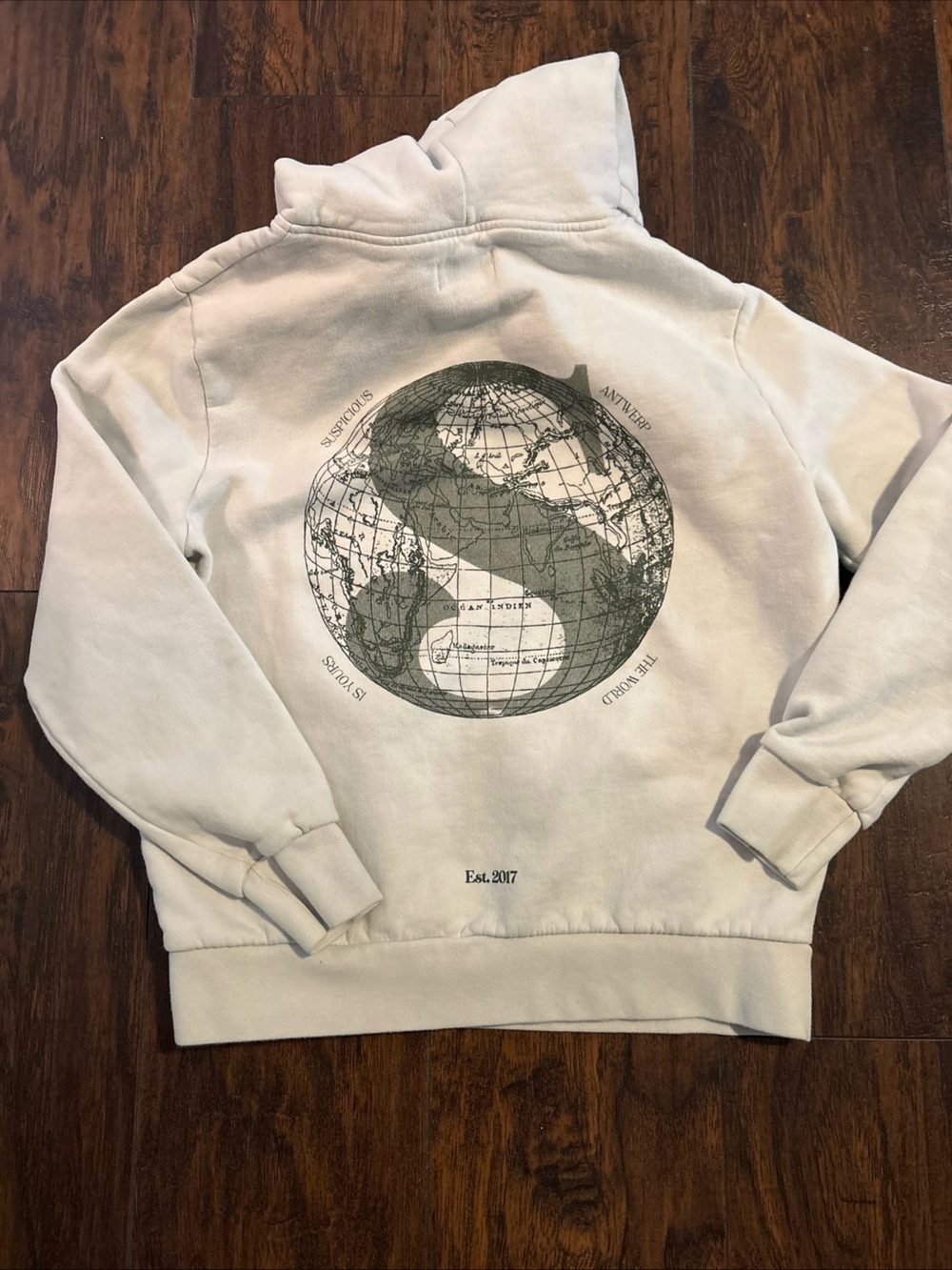 Suspicious Antwerp voyager  Earth Graphic Hoodie in Light Gray